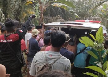 Pemuda di Pesisir Selatan Tewas Diterkam Buaya Saat Menjaring Ikan