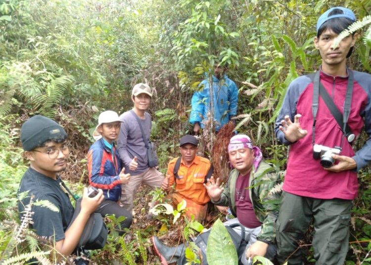 Petugas PLN di Solok Dengar Auman Harimau Saat Kerja