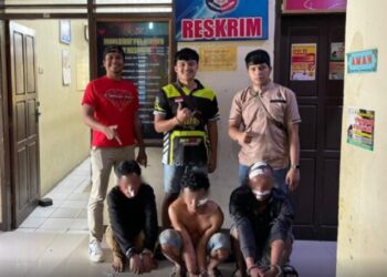 Maling di Agam Makin Nekat, Bawa Kabur Sapi Pakai Mobil Rental