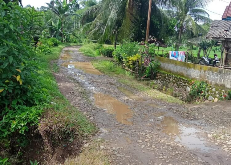 Puluhan Tahun Jalan di Pesisir Selatan Ini Rusak Parah