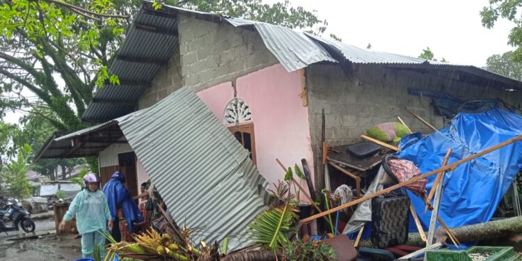 Pohon Tumbang di Padang Timpa Rumah dan Kendaraan