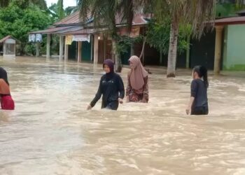 Banjir Belum Surut di Padang Pariaman, Ribuan Warga Mengungsi Tidak Ada Anggaran Khusus di Padang Pariaman untuk Mitigasi Bencana Alam