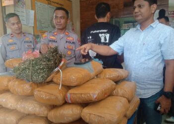 36 Kg Ganja Ditemukan di Sekolah Padang Pariaman