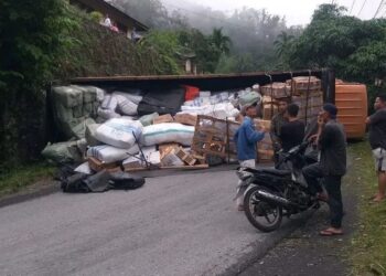 Hilang Kendali, Truk Rebah Kuda di Tanah Datar