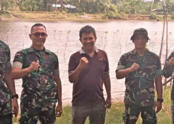 Aksi Nyata Kodim Pesisir Selatan Jaga Lingkungan, Tanam Mangrove di Kawasan Konservasi Penyu