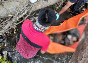 Kondisi Mayat Tanpa Identitas Saat Ditemukan di Sumpur Kudus Sijunjung