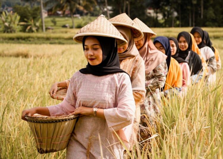 Profil Desa Wisata Kubu Gadang, Wakil Padang Panjang yang Masuk 75 Besar ADWI 2023