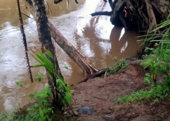 Seorang Remaja di Pasaman Barat Hilang Diterkam Buaya