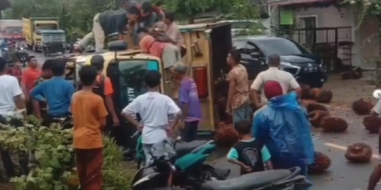 Truk bermuatan sawit rebah kuda di Jalan Raya Ujung Gading, Kecamatan Lembah Malintang, Kabupaten Pasaman Barat, Selasa (7/3/2023) sore. Foto: Ist