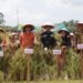 Wabup Pasaman Barat Risnawanto Apresiasi Panen Raya Nagari Parit