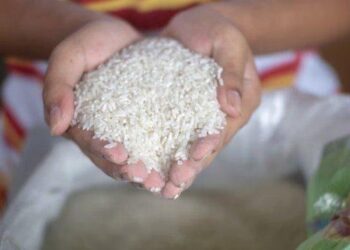 Pemerintah Bagi-bagi 10 Kg Beras untuk Warga Maret-Mei 2023