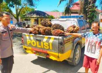 Belum Sempat Nikmati Hasil Curian, Pria di Pasaman Barat Ini Ditangkap