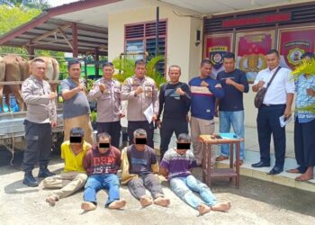 Beraksi di Dharmasraya, Komplotan Pencuri Sapi Diburu Hingga ke Jambi