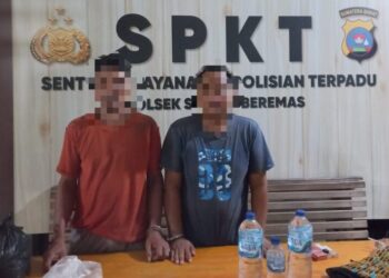 Dua Pria di Pasaman Barat Ditangkap Gegara Gelapkan TBS Kelapa Sawit Perusahaan