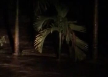 Video: Banjir Malam Ini di Pasaman