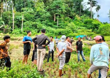 Kronologi Pembunuhan Sadis Gadis di Padang Pariaman: Ditembak Saat Panen Padi