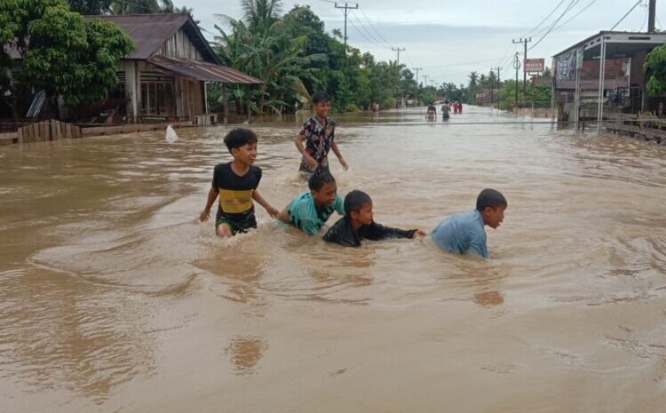 Salah satu kawasan terdampak banjir di Pesisir Selatan, Minggu (7/5/2023).