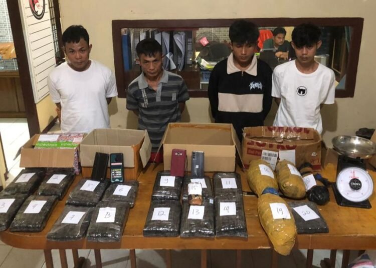 Empat Pengedar Asal Bengkulu Ditangkap di Agam, Polisi Temukan 20 Kg Ganja