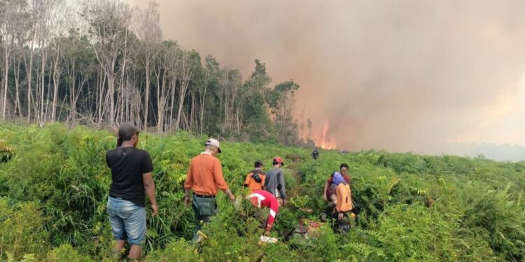 Kebakaran hutan dan lahan di Kampung Pasir Janjang, Kecamatan Silaut, Kabupaten Pesisir Selatan.