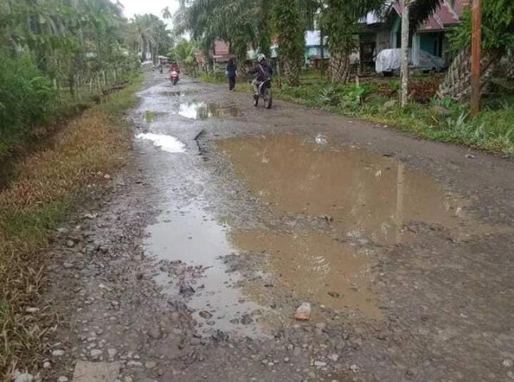 Potret Jalan di Pesisir Selatan: Lebih Separo Rusak, Sebagian Besar Belum Diaspal