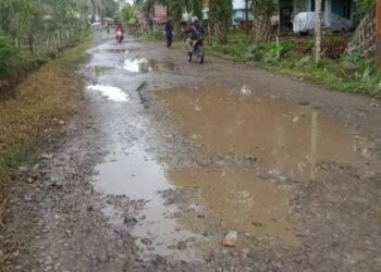 Potret Jalan di Pesisir Selatan: Lebih Separo Rusak, Sebagian Besar Belum Diaspal