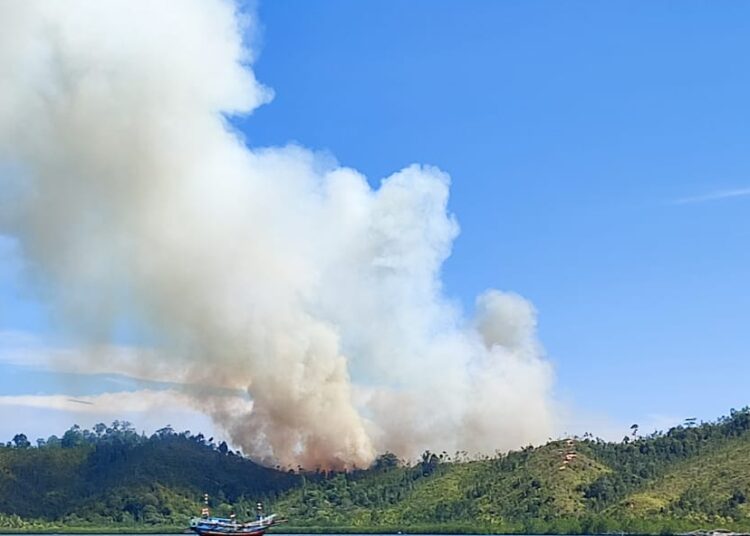 Ladang Warga di Pesisir Selatan Terbakar