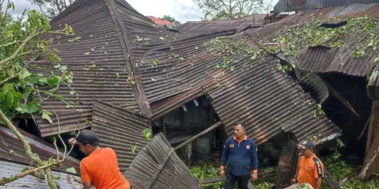 Petugas BPBD membersihkan material pohon yang menimpa rumah warga di Jorong Sidang Tangah, Nagari Matua Mudiak, Kecamatan Matur, Kabupaten Agam. Ist