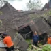 Petugas BPBD membersihkan material pohon yang menimpa rumah warga di Jorong Sidang Tangah, Nagari Matua Mudiak, Kecamatan Matur, Kabupaten Agam. Ist