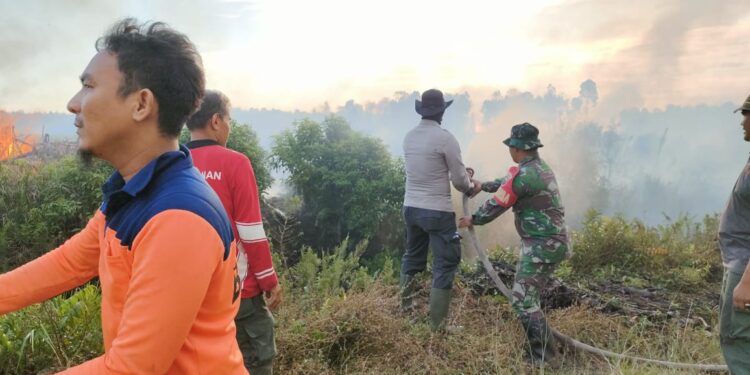 Kebakaran Hutan dan Lahan di Pesisir Selatan Makin Meluas