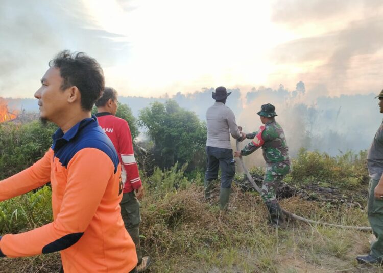 Kebakaran Hutan Dan Lahan Di Pesisir Selatan Makin Meluas Sumbarkita Id