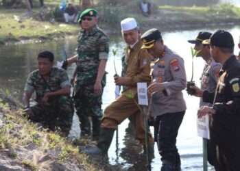 Bupati Pasaman Barat Apresiasi TNI Tanam Mangrove di Maligi