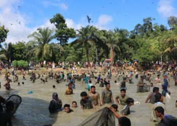 Panen Ikan Telabang Sakti