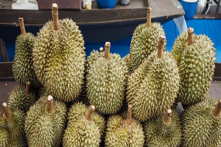 Daerah Durian di Sumbar