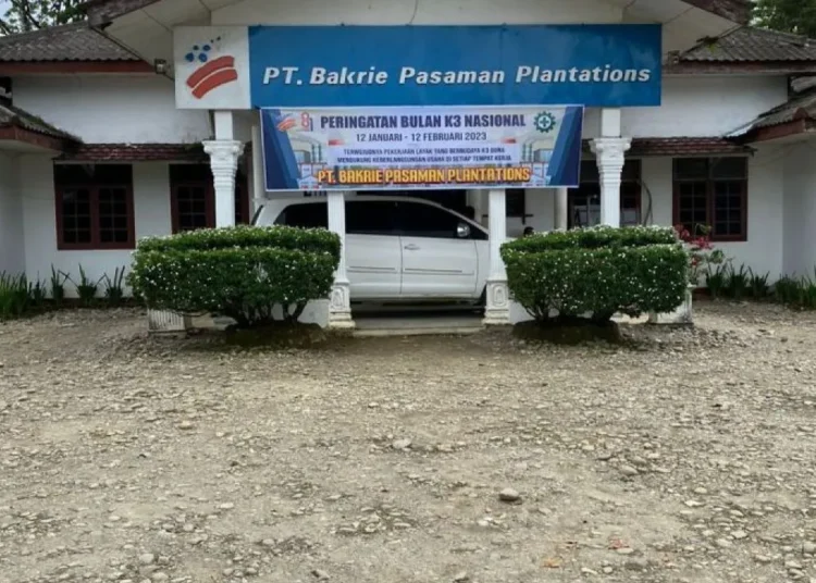 Kantor perusahaan perkebunan kelapa sawit PT Bakrie Pasaman Plantation (BPP) Kabupaten Pasaman Barat. Foto: Antara/HO-PT BPP Pasaman Barat.