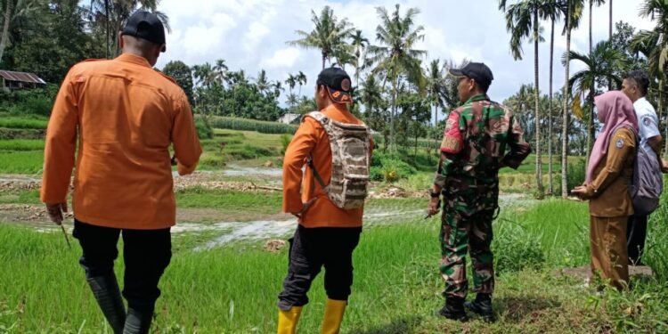 Lahan Banjir Limapuluh Kota