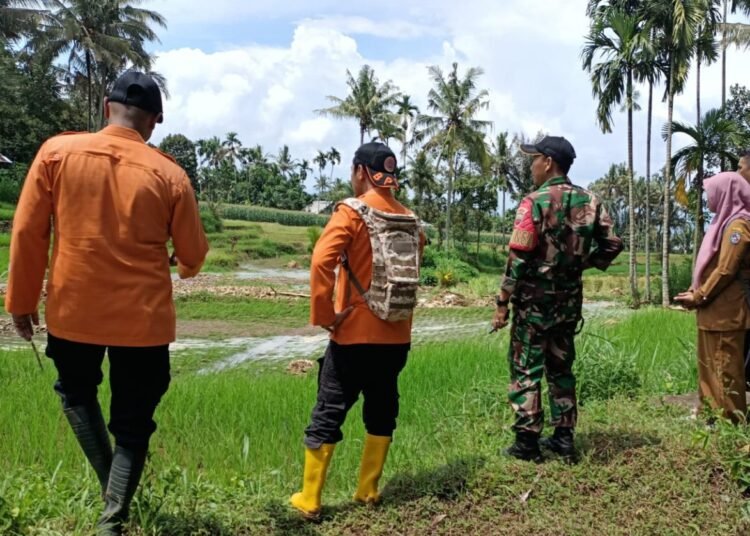 Lahan Banjir Limapuluh Kota