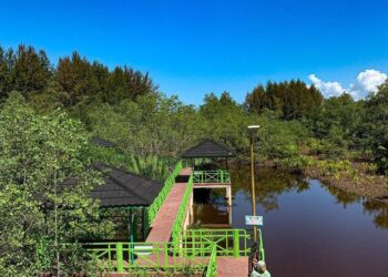 Pariaman Mangrove Park