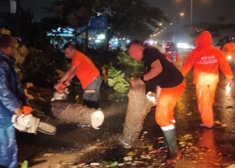 Tim Reaksi Cepat PB BPBD Kota Padang membersihkan material pohon tumbang di Jalan Bypass Koto Panjang, Minggu (31/12). Ist