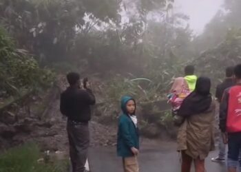 Longsor di Ulu Aia, Kecamatan Harau, Kabupaten Limapuluh Kota pada Kamis, 28 Desember 2023.