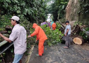 Longsor di Agam-Bukittinggi (Foto: BPBD Bukittinggi)