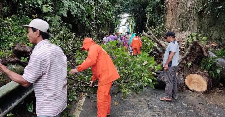 Longsor di Agam-Bukittinggi (Foto: BPBD Bukittinggi)