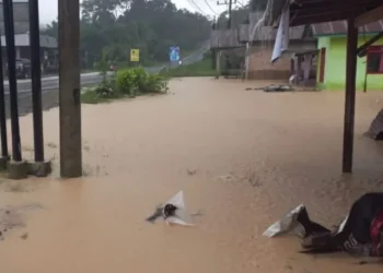 Banjir di Tapian Kandih, Nagari Salareh Aia Barat, Kecamatan Palembayan, Kabupaten Agam. Foto: BPBD Agam.