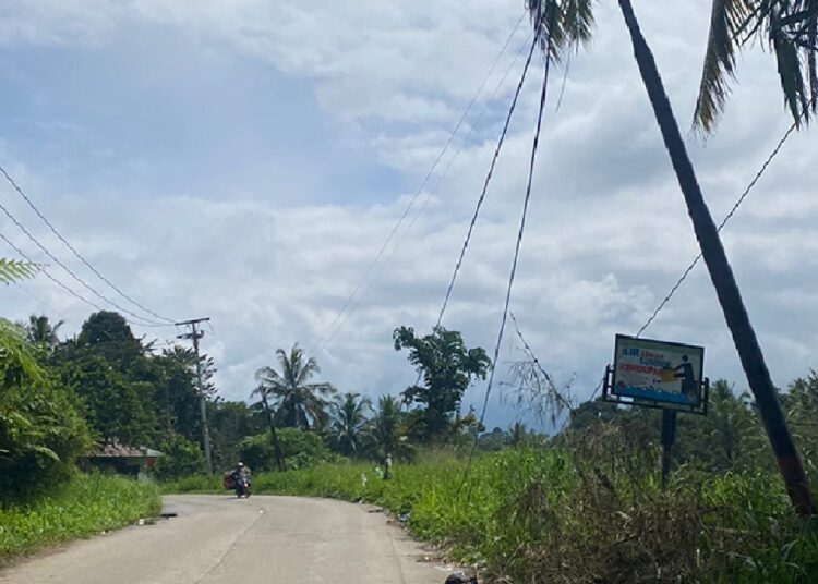 Kabel Fiber Optik  yang membentang di sepanjang jalan Provinsi Payakumbuh-Batusangkar via Piladang tampak menjuntai ke jalan.