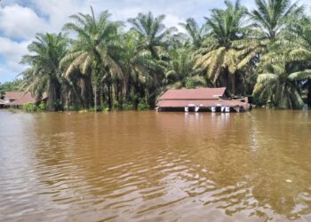 Banjir di Nagari Tluk Ampalu, Kecamatan Pancung Soal Pesisir Selatan, Sabtu (20/1).