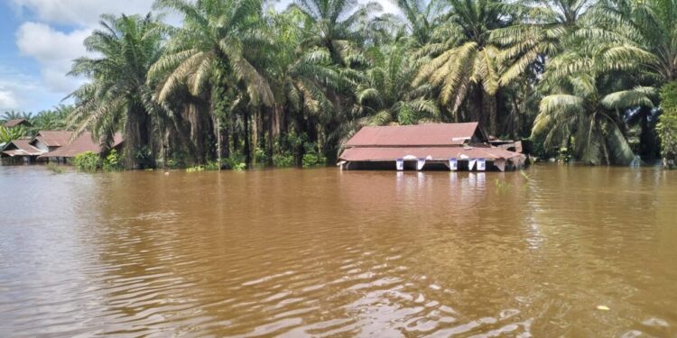 Banjir di Nagari Tluk Ampalu, Kecamatan Pancung Soal Pesisir Selatan, Sabtu (20/1).