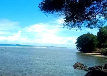 Pantai Sikabau Kabupaten Pasaman Barat (Foto: Istimewa)