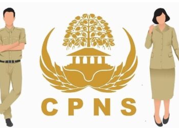 ilustrasi CPNS