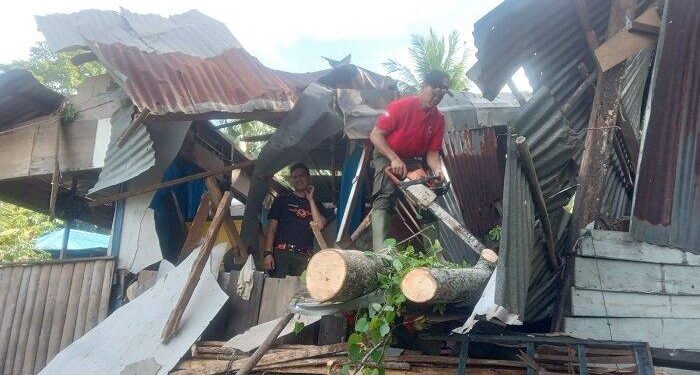 Pohon tumbang di Kota Padang