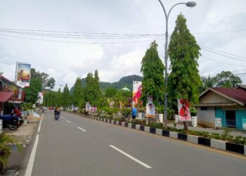 APK Caleg di pohon di ruas jalan Pesisir Selatan