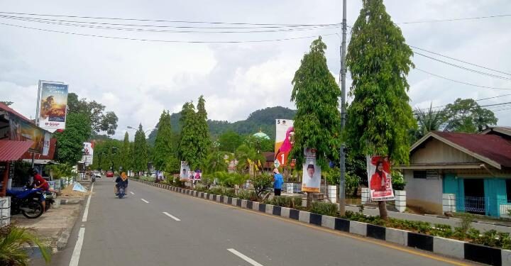 APK Caleg di pohon di ruas jalan Pesisir Selatan